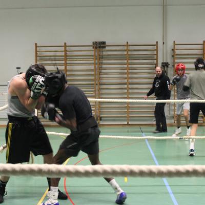 Sparring 31.01.2020